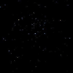M 50, NGC 2323